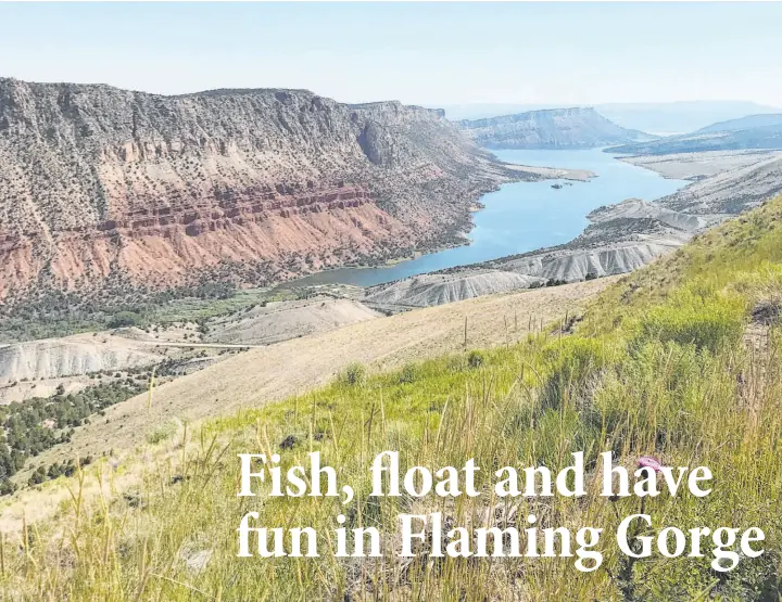  ?? Photos by Deborah Wall Las Vegas Review-Journal ?? Sheep Creek Bay at Flaming Gorge Reservoir. Species of trout, salmon and bass are plentiful in the reservoir, and trout larger than 30 pounds are not unheard of.