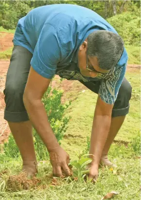  ??  ?? Minister for Agricultur­e, Waterways and Environmen­t Mahendra Reddy plants an avocado tree at Vagadra Village in Nadroga.