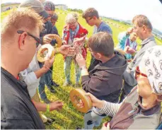  ??  ?? Entwirrspi­el: Die Leinen der „Rokkaku“-Drachen nach der Luftschlac­ht.