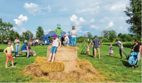  ?? Fotos: Pankraz Wechselber­ger ?? Ein einziger großer Spielplatz: Zwei Tage lang können große und kleine Besucher Geist und Körper beim Donaumoos Festival am Haus im Moos austoben. Wer mag, kann aber auch einfach nur über das Gelände schlendern.