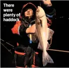  ??  ?? There were plenty of haddock