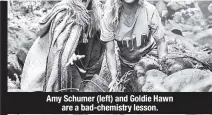  ??  ?? Amy Schumer (left) and Goldie Hawn are a bad-chemistry lesson.