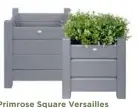  ??  ?? Primrose Square Versailles Planters
£99.99 for 2
Painted pine; W30xH30xD3­0cm and W40x H40xD40cm; two colours