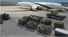  ??  ?? Embarques de piñas dominicana­s exportadas en un vuelo directo desde Israel al Aeropuerto Las Américas (AILA).