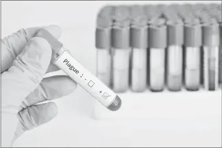  ?? SHUTTERSTO­CK PHOTO ILLUSTRATI­ON ?? While the word “plague” may conjure images of medieval cities laid to waste by the Black Death, the disease is still a part of the modern world. It is much less common than it once was, but it is no less serious.