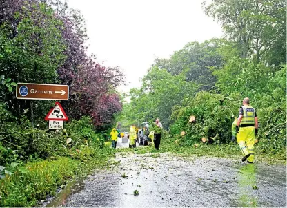  ?? Picture: Kim Cessford. ?? The clean-up operation after the torrential downpours brought down a tree on the A932, blocking the road close to Pitmuies Gardens near Friockheim in Angus.