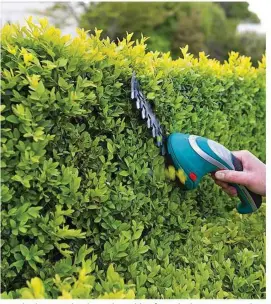  ??  ?? Keep hedges neatly trimmed, working from the bottom upwards