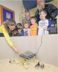  ?? RP-FOTO: KAISER ?? Georg Lüdecke (rechts) und Peter Jeske vom Naturschut­zbund Nabu waren kürzlich in der Kindertage­sstätte „Spatzennes­t“in Kamperling­s zu Gast, um die ausgeschlü­pften Küken zu begutachte­n. Um die haben sich Erzieherin Ursel Gerlach und die Kinder Lukas,...