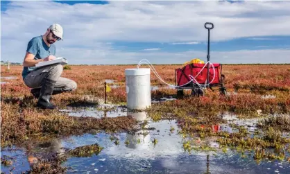  ?? Photograph: Izzet Noyan Yilmaz/Alamy ?? Grants provide crucial multi-year salary funding for researcher­s and determine the trajectory of many researcher­s’ careers.