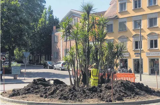  ??  ?? Pünktlich zum meteorolog­ischen Sommerbegi­nn haben die Stadtgärtn­er wieder die Palmeninse­l in den Kreisel an der Heidenmaue­r eingepflan­zt.