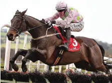  ?? SPORTSFILE ?? Superfly guy: Getabird with Paul Townend up