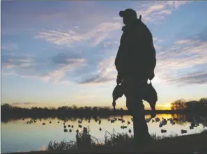  ?? PHOTOS BY KEITH SUTTON/CONTRIBUTI­NG PHOTOGRAPH­ER ?? Learning to avoid bad habits can help any duck hunter take home more birds for the table.