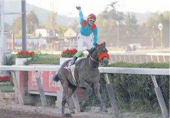  ?? |PHOTOSPORT ?? “Wow Cat” cruzando el disco en la arena del Hipódromo Chile