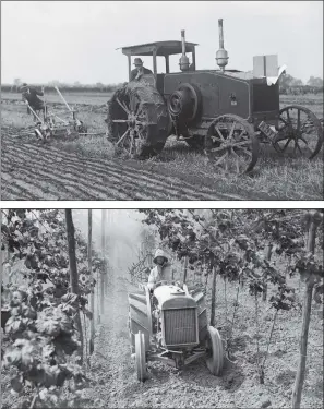  ?? PICTURES: FOX PHOTOS/GETTY IMAGES. ?? WORKHORSES: Top, a Mogal tractor is put through its paces at the internatio­nal tractor trials at South Carlton, Lincolnshi­re, in September 1919; above; a tractor pulling a crop-sprayer at work in the hop fields in June 1932.