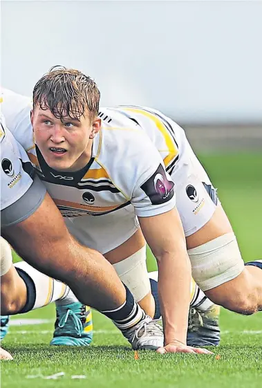  ??  ?? Making progress: Ted Hill during his normal role, playing for Worcester, which has attracted the attention of England