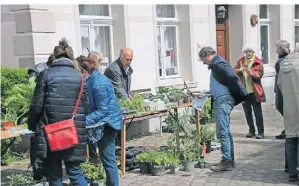  ?? FOTO: ALFRED WRONSKI ?? Die Pflanzenta­uschbörse in Schaephuys­en kommt immer gut an. Neben Pflanzen gibt es auch fachliche Ratschläge.