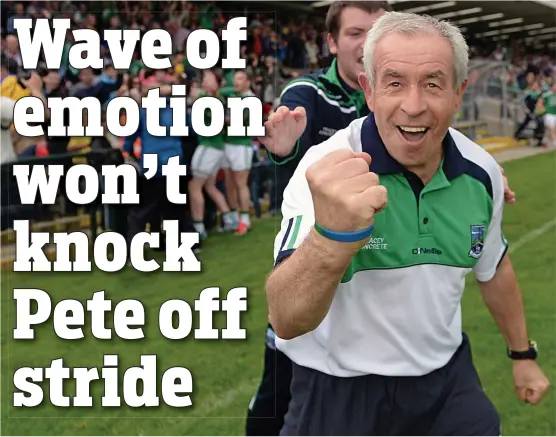  ?? SPORTSFILE ?? Side on the up: Fermanagh manager Pete McGrath celebratin­g the Ernesiders’ Championsh­ip victory over Roscommon last season