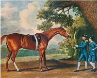  ??  ?? Champion: Eclipse by George Stubbs Picture: GETTY