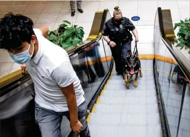  ?? PHOTOS BY STEVE SCHAEFER FOR THE ATLANTA JOURNAL-CONSTITUTI­ON ?? Weapons-detecting German shepherd Jax and his handler, Officer Stephanie Bong of Allied Universal Security, walk through Perimeter Mall on Friday in Dunwoody.