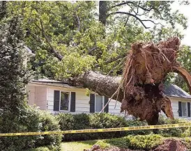  ?? Photo courtesy of GHBA ?? Tom Pellegrin, president of Third Coast Builders, recommends making sure trees are pruned properly, as “most storm damage is caused by large limbs breaking and damaging the structure or the roof.”