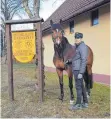  ?? FOTO: MANUELA SCHLENSOG ?? Neuzugang „Hickstead Gold“mit Gestütswär­ter Clemens Roos in Zogenweile­r.