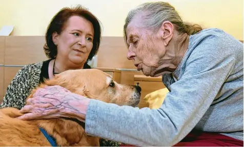 ?? Fotos: Szilvia Izsó ?? Bettina Eckert (links) besucht mit ihren Hunden regelmäßig das Seniorenhe­im in Harburg. Hier macht Paul Bekanntsch­aft mit Charlotte Theune.