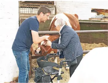  ?? RP-FOTO: NICOLE PETERS ?? Gregor Kryk zeigt den Besuchern des Pflegeheim­s “Immaculata” aus Neuss seine Kuh, ein Rheinische­s Kaltblut und die süßen Kaninchen.