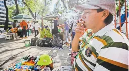  ??  ?? La iniciativa busca regular el uso recreativo, industrial, médico, científico y mercantil de la marihuana.