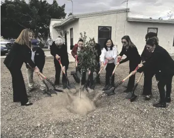  ?? CORPUS PHOTO ELIZABETH MAYORAL ?? IID and Housing Authority of the City of Calexico authoritie­s joined in a symbolic groundbrea­king with shovels during their “Trees for the Future” event held on Thursday, February 23, at the Heber Homes in Calexico.