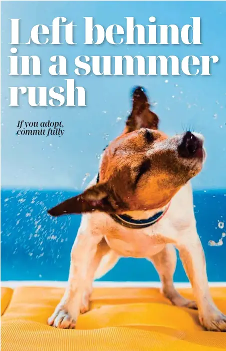 Left behind in a summer rush - PressReader