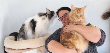  ?? FOTO: KERSTIN SCHWIER ?? Die beiden Maine-Coon Katzen Gizmo (links) und Elliot lieben ihre Katzenmama Andrea Hermes.