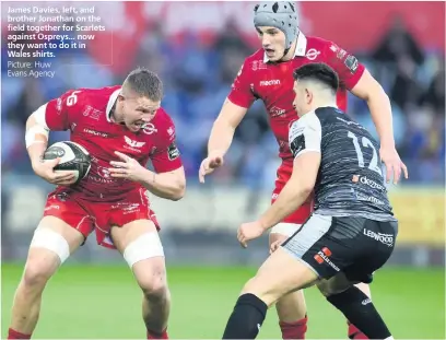  ?? Picture: Huw Evans Agency ?? James Davies, left, and brother Jonathan on the field together for Scarlets against Ospreys... now they want to do it in Wales shirts.