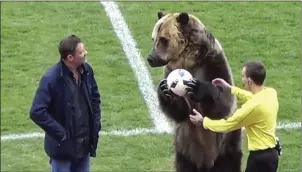  ??  ?? A performing Russian bear at a soccer match last week.