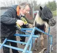  ?? Picture: Gareth Jennings. ?? Simon Mulholland working on his wheelchair chariot, with Obama the pony.