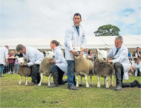  ?? ?? BACK IN BUSINESS: The Royal Highland Show at Ingliston opens in June again. Picture by Wullie Marr.