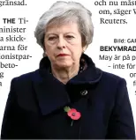  ?? Bild: GARETH FULLER/TT ?? BEKYMRAD. Theresa May är på plats i Belgien – inte för att förhandla om brexit utan för att hedra soldater som stupade i första världskrig­et.