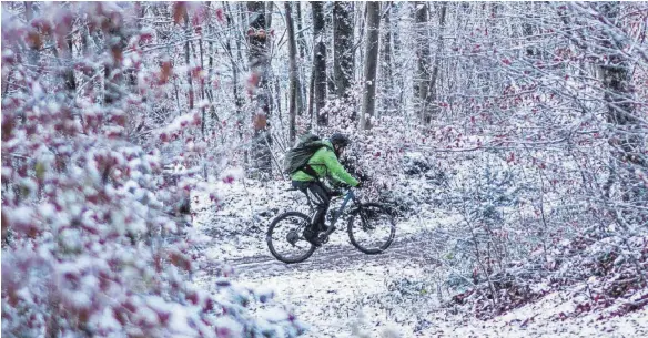  ?? FOTO: DPA ?? Manche Mountainbi­ker lassen sich auch durch Schneefall nicht von einer Tour abhalten. Naherholun­g und Naturschut­z blieben auch hierbei auf der Strecke, sagen Kritiker.