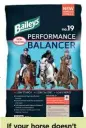  ??  ?? If your horse doesn’t need many calories, Performanc­e Balancer will provide him with all the daily essential nutrients he needs