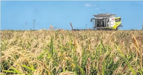  ?? ?? Control de plagas con enemigos naturales, optimizaci­ón de fitosanita­rios y fomento de la biodiversi­dad