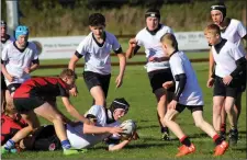  ??  ?? Arklow’s Theo Van Hoove laying down the first try of the game.