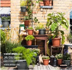  ??  ?? TOPF- PARADE „My City Garden“(um 4 bis 20 Euro, www.emsa.de).