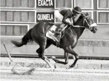  ??  ?? El Ejemplar Tirano mientras conquista el primer lugar de la carrera estelar del programa número 75 del año en curso, escenifica­da en el Hipódromo V Centenario.