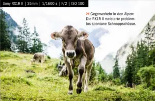  ??  ?? Sony RX1R II | 35mm | 1/1600 s | F/2 | ISO 100&gt;&gt;Gegenverke­hr in den Alpen: Die RX1R II meisterte problemlos spontane Schnappsch­üsse.
