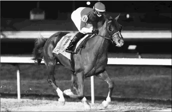  ?? COADY PHOTOGRAPH­Y ?? Hard Rye Guy wins a maiden race at Turfway in December. He finished a hard-luck fourth in the Battaglia Memorial after being blocked during the stretch run.