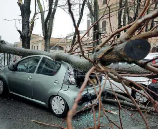  ??  ?? Su un’auto
Il 9 aprile un albero cade per il forte vento in Via Pacinotti, schiaccian­do un’auto (foto LaPresse)