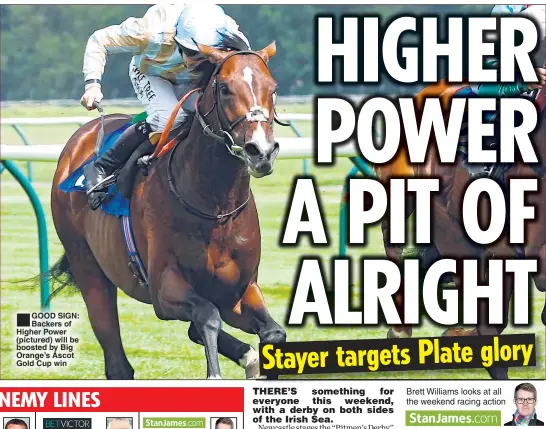  ??  ?? GOOD SIGN: Backers of Higher Power (pictured) will be boosted by Big Orange’s Ascot Gold Cup win