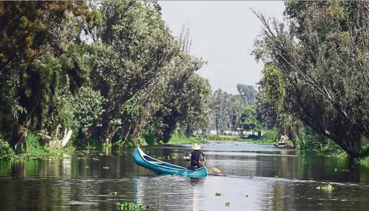  ??  ?? Farmers in canoes navigate the water channel amid the floating gardens of Xochimilco, a Unesco World Heritage Site, during a symposium on biodiversi­ty and gastronomy in Mexico City on July 18.