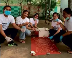  ??  ?? LEFT AND BELOW: Staff at Thailand’s Parisitic Disease Research Center with the 18-metre (60ft) long tapeworm.