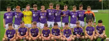  ??  ?? The Wexford Purple squad.