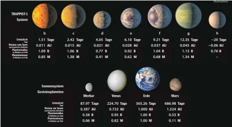  ??  ?? Diese Infografik des European Southern Observator­y zeigt künstleris­che Illustrati­onen vom möglichen Aussehen der sieben Planeten, die um Trappist-1 kreisen.